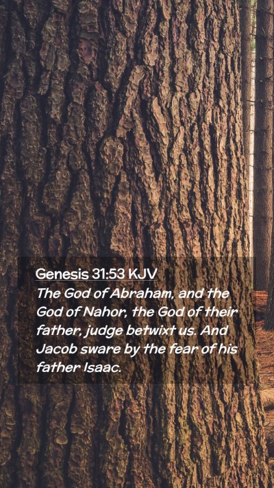 Picture 02 - Genesis 31:53 KJV Mobile Phone Wallpaper - The God of Abraham, and the God of Nahor, the God - Mobile Bible Verse Wallpaper