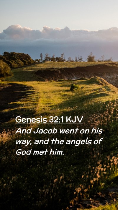 Picture 02 - Genesis 32:1 KJV Mobile Phone Wallpaper - And Jacob went on his way, and the angels of God - Mobile Bible Verse Wallpaper