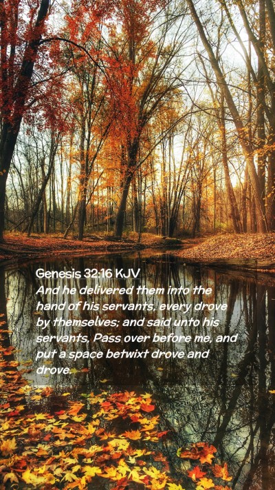 Picture 02 - Genesis 32:16 KJV Mobile Phone Wallpaper - And he delivered them into the hand of his - Mobile Bible Verse Wallpaper