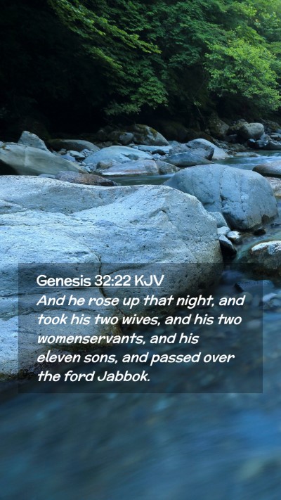 Picture 02 - Genesis 32:22 KJV Mobile Phone Wallpaper - And he rose up that night, and took his two - Mobile Bible Verse Wallpaper