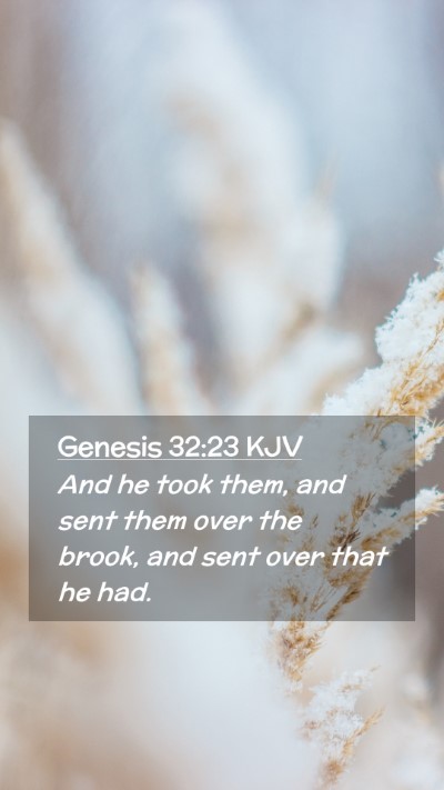 Picture 02 - Genesis 32:23 KJV Mobile Phone Wallpaper - And he took them, and sent them over the brook, - Mobile Bible Verse Wallpaper