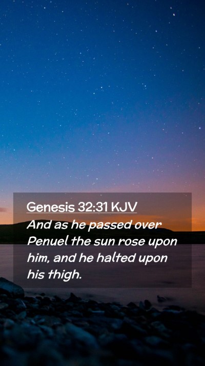 Picture 02 - Genesis 32:31 KJV Mobile Phone Wallpaper - And as he passed over Penuel the sun rose upon - Mobile Bible Verse Wallpaper