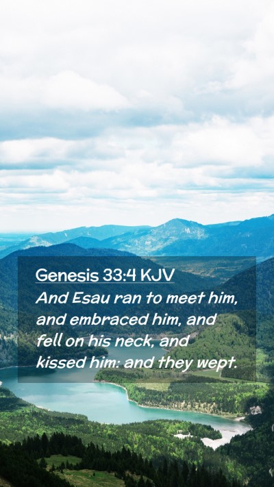 Picture 02 - Genesis 33:4 KJV Mobile Phone Wallpaper - And Esau ran to meet him, and embraced him, and - Mobile Bible Verse Wallpaper