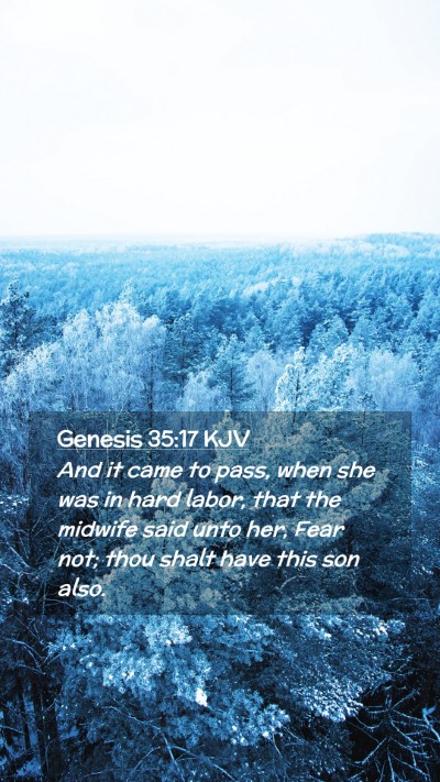Picture 02 - Genesis 35:17 KJV Mobile Phone Wallpaper - And it came to pass, when she was in hard labor, - Mobile Bible Verse Wallpaper