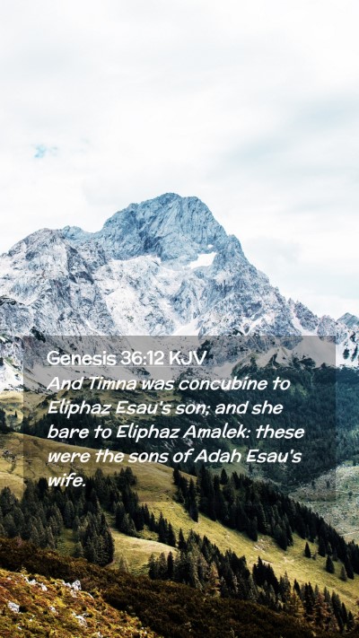 Picture 02 - Genesis 36:12 KJV Mobile Phone Wallpaper - And Timna was concubine to Eliphaz Esau's son; - Mobile Bible Verse Wallpaper