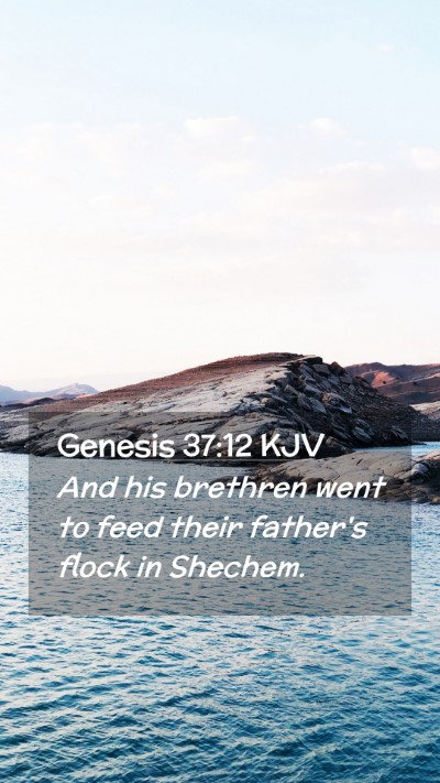 Picture 02 - Genesis 37:12 KJV Mobile Phone Wallpaper - And his brethren went to feed their father's - Mobile Bible Verse Wallpaper