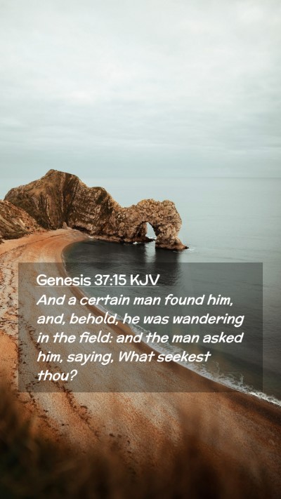 Picture 02 - Genesis 37:15 KJV Mobile Phone Wallpaper - And a certain man found him, and, behold, he was - Mobile Bible Verse Wallpaper