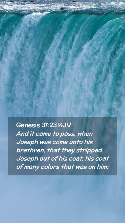Picture 02 - Genesis 37:23 KJV Mobile Phone Wallpaper - And it came to pass, when Joseph was come unto - Mobile Bible Verse Wallpaper
