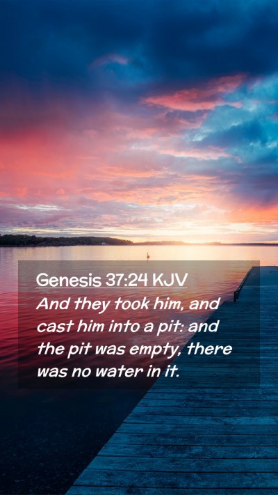 Picture 02 - Genesis 37:24 KJV Mobile Phone Wallpaper - And they took him, and cast him into a pit: and - Mobile Bible Verse Wallpaper