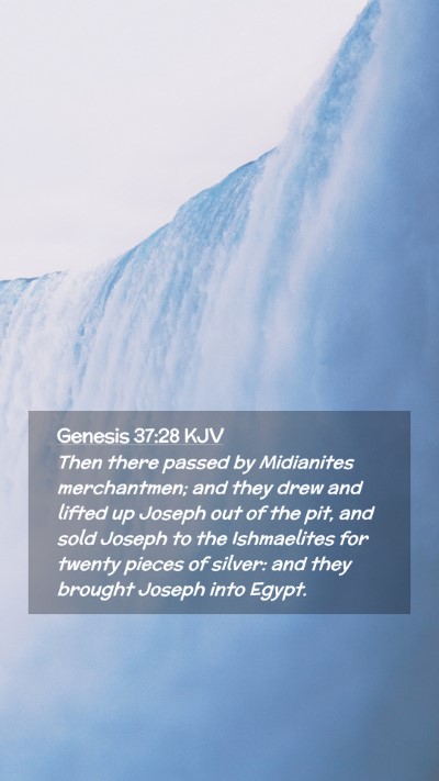 Picture 02 - Genesis 37:28 KJV Mobile Phone Wallpaper - Then there passed by Midianites merchantmen; and - Mobile Bible Verse Wallpaper