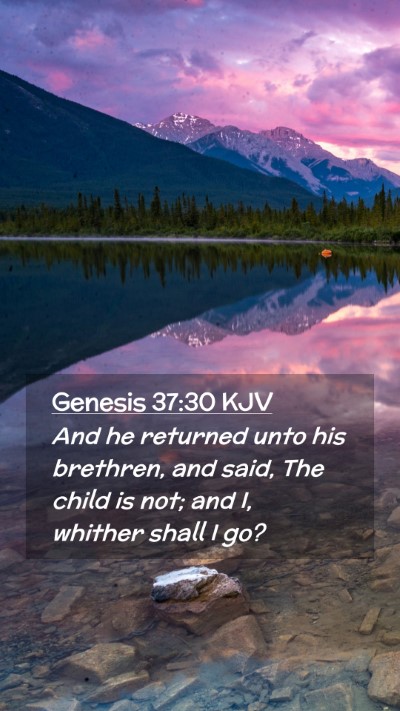 Picture 02 - Genesis 37:30 KJV Mobile Phone Wallpaper - And he returned unto his brethren, and said, The - Mobile Bible Verse Wallpaper