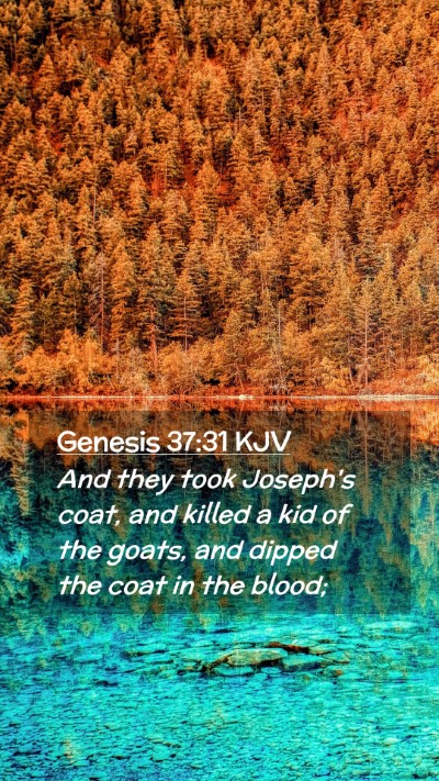 Picture 02 - Genesis 37:31 KJV Mobile Phone Wallpaper - And they took Joseph's coat, and killed a kid of - Mobile Bible Verse Wallpaper