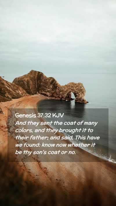 Picture 02 - Genesis 37:32 KJV Mobile Phone Wallpaper - And they sent the coat of many colors, and they - Mobile Bible Verse Wallpaper