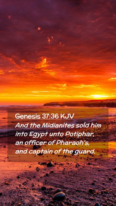 Picture 02 - Genesis 37:36 KJV Mobile Phone Wallpaper - And the Midianites sold him into Egypt unto - Mobile Bible Verse Wallpaper