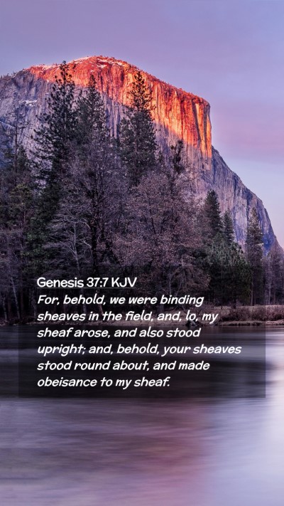 Picture 02 - Genesis 37:7 KJV Mobile Phone Wallpaper - For, behold, we were binding sheaves in the - Mobile Bible Verse Wallpaper
