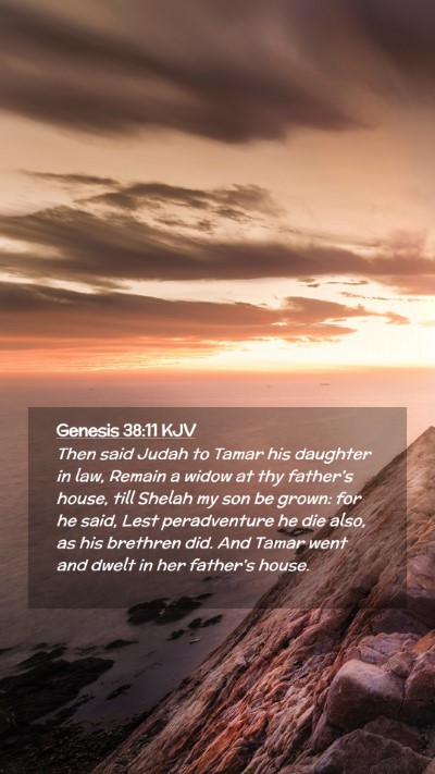 Picture 02 - Genesis 38:11 KJV Mobile Phone Wallpaper - Then said Judah to Tamar his daughter in law, - Mobile Bible Verse Wallpaper