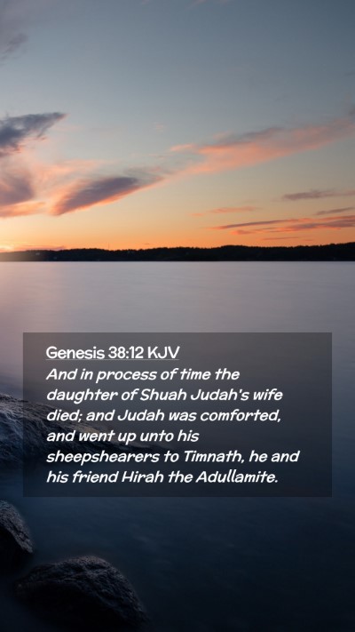 Picture 02 - Genesis 38:12 KJV Mobile Phone Wallpaper - And in process of time the daughter of Shuah - Mobile Bible Verse Wallpaper