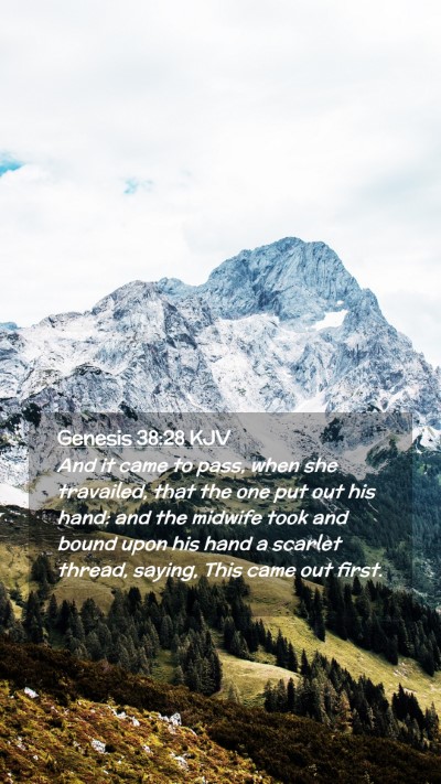 Picture 02 - Genesis 38:28 KJV Mobile Phone Wallpaper - And it came to pass, when she travailed, that the - Mobile Bible Verse Wallpaper
