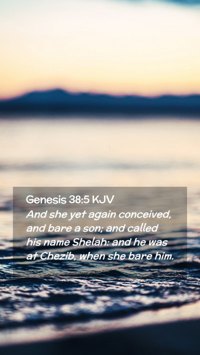 Picture 02 - Genesis 38:5 KJV Mobile Phone Wallpaper - And she yet again conceived, and bare a son; and - Mobile Bible Verse Wallpaper