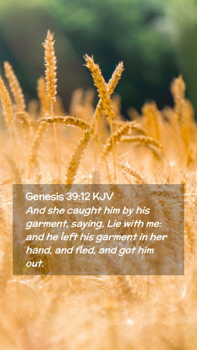 Picture 02 - Genesis 39:12 KJV Mobile Phone Wallpaper - And she caught him by his garment, saying, Lie - Mobile Bible Verse Wallpaper