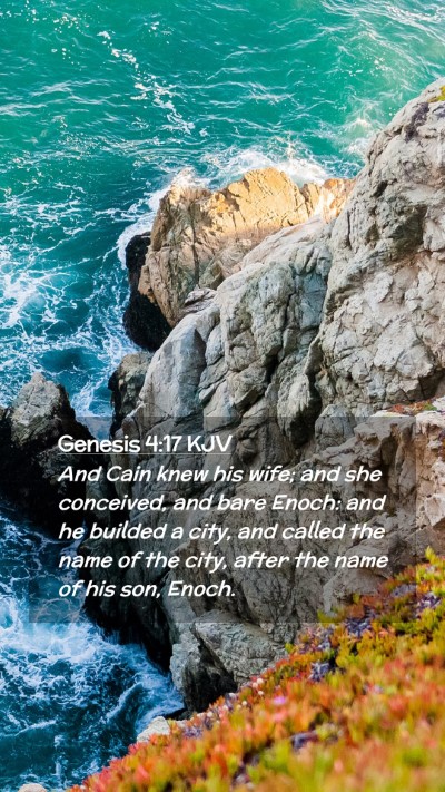 Picture 02 - Genesis 4:17 KJV Mobile Phone Wallpaper - And Cain knew his wife; and she conceived, and - Mobile Bible Verse Wallpaper