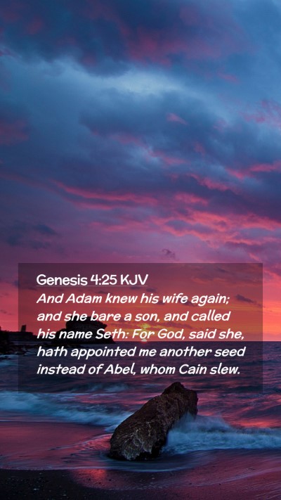 Picture 02 - Genesis 4:25 KJV Mobile Phone Wallpaper - And Adam knew his wife again; and she bare a son, - Mobile Bible Verse Wallpaper