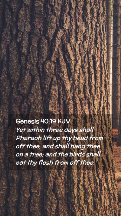 Picture 02 - Genesis 40:19 KJV Mobile Phone Wallpaper - Yet within three days shall Pharaoh lift up thy - Mobile Bible Verse Wallpaper