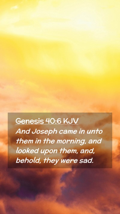 Picture 02 - Genesis 40:6 KJV Mobile Phone Wallpaper - And Joseph came in unto them in the morning, and - Mobile Bible Verse Wallpaper