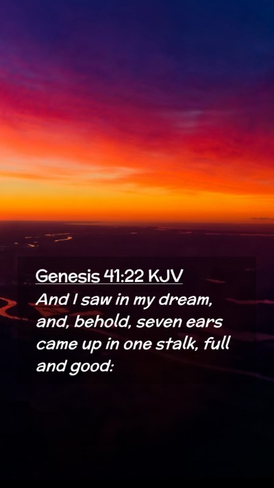 Picture 02 - Genesis 41:22 KJV Mobile Phone Wallpaper - And I saw in my dream, and, behold, seven ears - Mobile Bible Verse Wallpaper