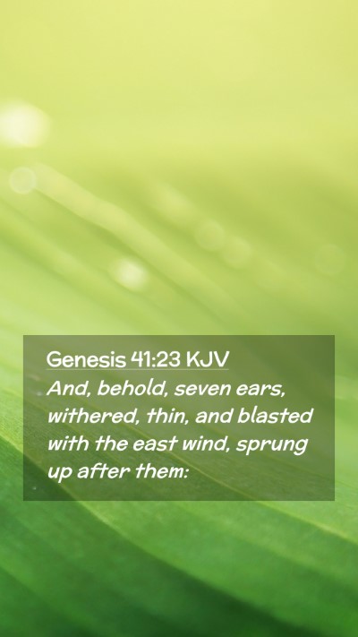 Picture 02 - Genesis 41:23 KJV Mobile Phone Wallpaper - And, behold, seven ears, withered, thin, and - Mobile Bible Verse Wallpaper