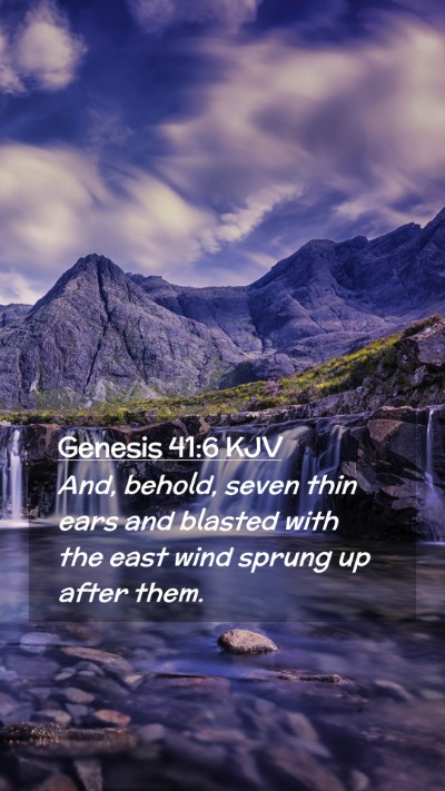 Picture 02 - Genesis 41:6 KJV Mobile Phone Wallpaper - And, behold, seven thin ears and blasted with the - Mobile Bible Verse Wallpaper
