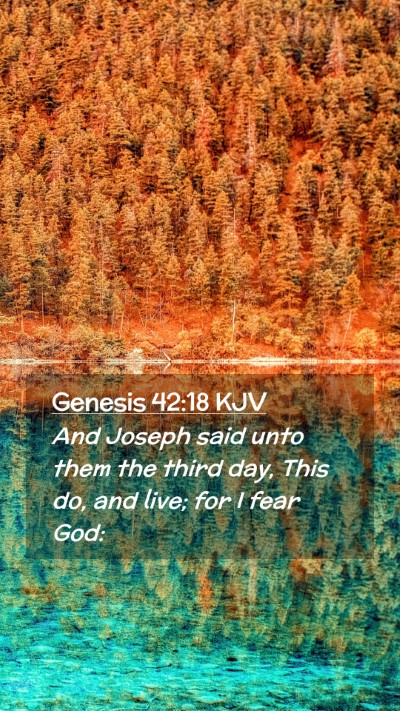 Picture 02 - Genesis 42:18 KJV Mobile Phone Wallpaper - And Joseph said unto them the third day, This do, - Mobile Bible Verse Wallpaper