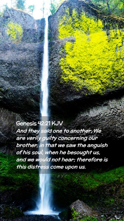 Picture 02 - Genesis 42:21 KJV Mobile Phone Wallpaper - And they said one to another, We are verily - Mobile Bible Verse Wallpaper