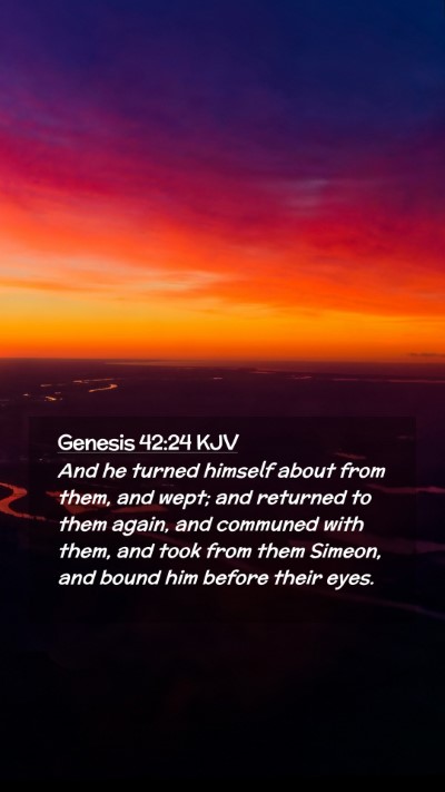 Picture 02 - Genesis 42:24 KJV Mobile Phone Wallpaper - And he turned himself about from them, and wept; - Mobile Bible Verse Wallpaper