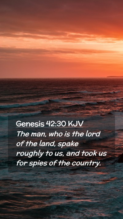 Picture 02 - Genesis 42:30 KJV Mobile Phone Wallpaper - The man, who is the lord of the land, spake - Mobile Bible Verse Wallpaper