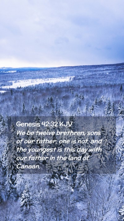 Picture 02 - Genesis 42:32 KJV Mobile Phone Wallpaper - We be twelve brethren, sons of our father; one is - Mobile Bible Verse Wallpaper