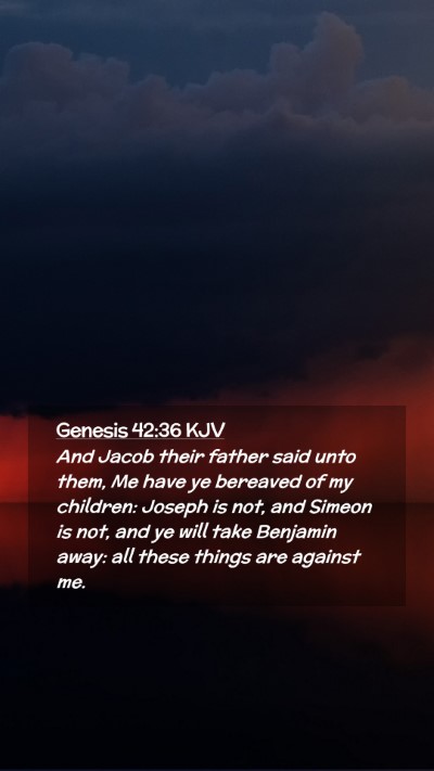 Picture 02 - Genesis 42:36 KJV Mobile Phone Wallpaper - And Jacob their father said unto them, Me have ye - Mobile Bible Verse Wallpaper