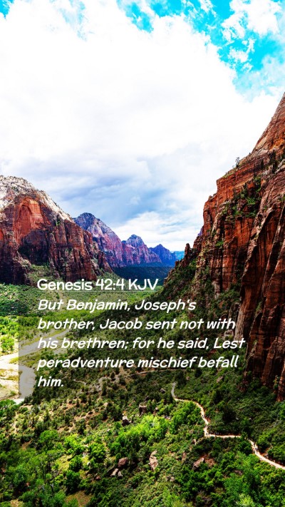 Picture 02 - Genesis 42:4 KJV Mobile Phone Wallpaper - But Benjamin, Joseph's brother, Jacob sent not - Mobile Bible Verse Wallpaper
