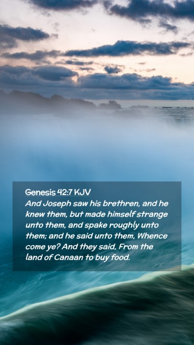 Picture 02 - Genesis 42:7 KJV Mobile Phone Wallpaper - And Joseph saw his brethren, and he knew them, - Mobile Bible Verse Wallpaper
