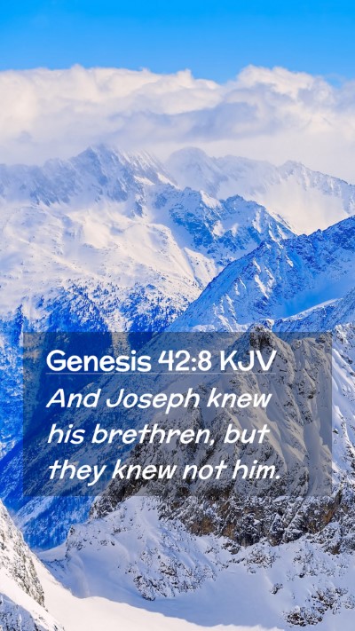 Picture 02 - Genesis 42:8 KJV Mobile Phone Wallpaper - And Joseph knew his brethren, but they knew not - Mobile Bible Verse Wallpaper