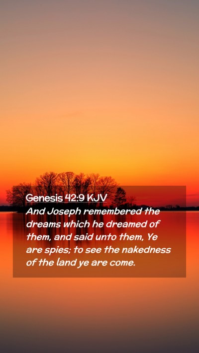Picture 02 - Genesis 42:9 KJV Mobile Phone Wallpaper - And Joseph remembered the dreams which he dreamed - Mobile Bible Verse Wallpaper