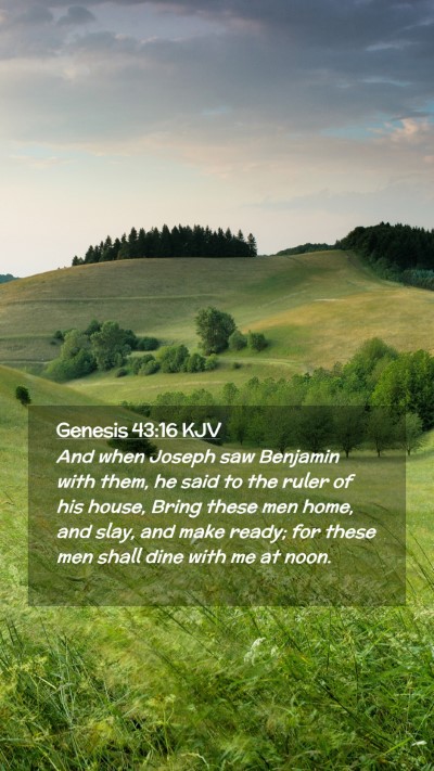 Picture 02 - Genesis 43:16 KJV Mobile Phone Wallpaper - And when Joseph saw Benjamin with them, he said - Mobile Bible Verse Wallpaper
