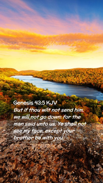 Picture 02 - Genesis 43:5 KJV Mobile Phone Wallpaper - But if thou wilt not send him, we will not go - Mobile Bible Verse Wallpaper