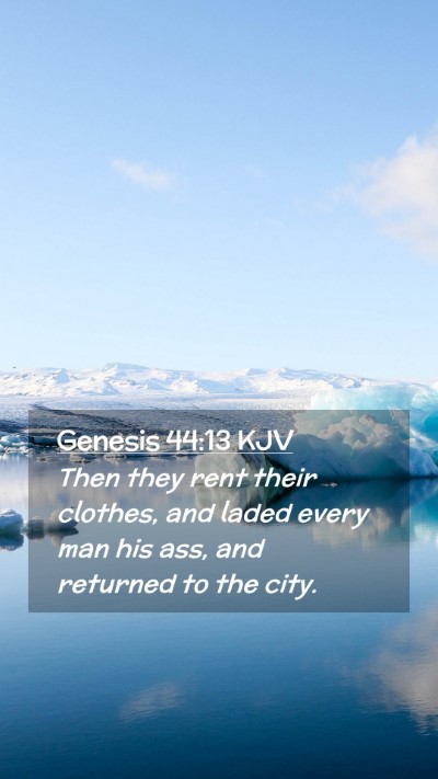Picture 02 - Genesis 44:13 KJV Mobile Phone Wallpaper - Then they rent their clothes, and laded every man - Mobile Bible Verse Wallpaper