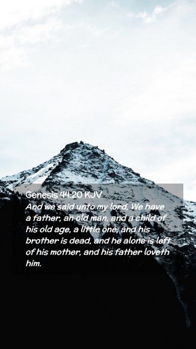 Picture 02 - Genesis 44:20 KJV Mobile Phone Wallpaper - And we said unto my lord, We have a father, an - Mobile Bible Verse Wallpaper
