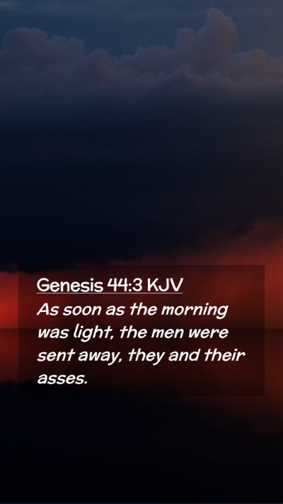 Picture 02 - Genesis 44:3 KJV Mobile Phone Wallpaper - As soon as the morning was light, the men were - Mobile Bible Verse Wallpaper