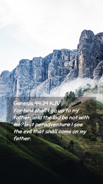 Picture 02 - Genesis 44:34 KJV Mobile Phone Wallpaper - For how shall I go up to my father, and the lad - Mobile Bible Verse Wallpaper