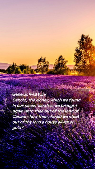 Picture 02 - Genesis 44:8 KJV Mobile Phone Wallpaper - Behold, the money, which we found in our sacks' - Mobile Bible Verse Wallpaper
