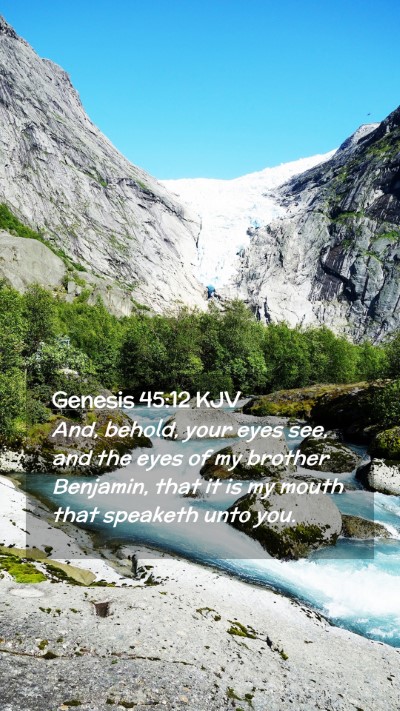 Picture 02 - Genesis 45:12 KJV Mobile Phone Wallpaper - And, behold, your eyes see, and the eyes of my - Mobile Bible Verse Wallpaper