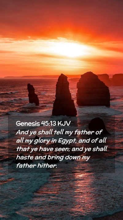 Picture 02 - Genesis 45:13 KJV Mobile Phone Wallpaper - And ye shall tell my father of all my glory in - Mobile Bible Verse Wallpaper